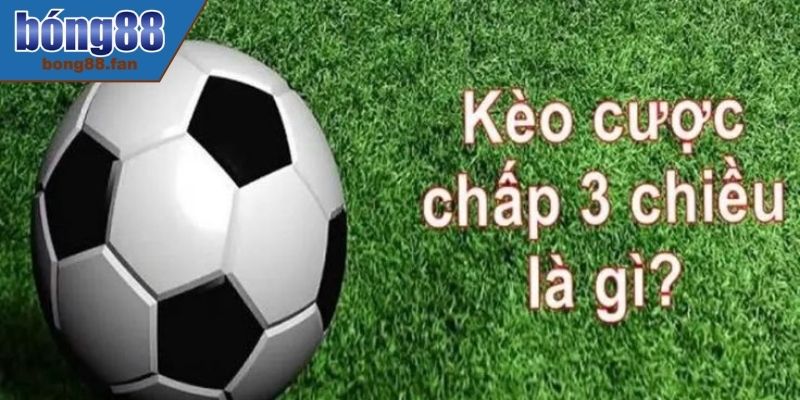 Hướng dẫn chơi cược chấp 3 chiều và cách bắt kèo hiệu quả